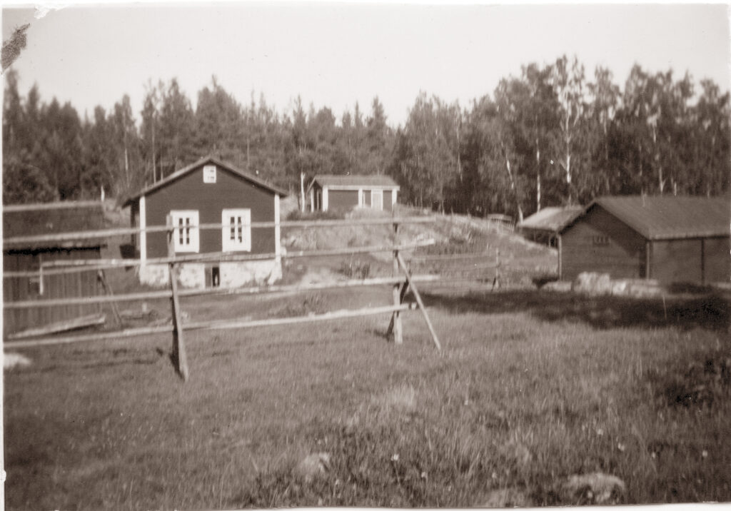 luhastensalo06